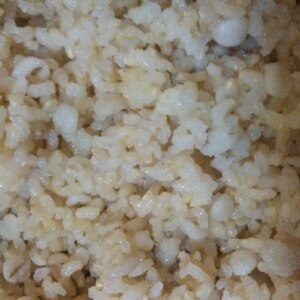 ストウブDE〜発芽玄米＆押麦ご飯